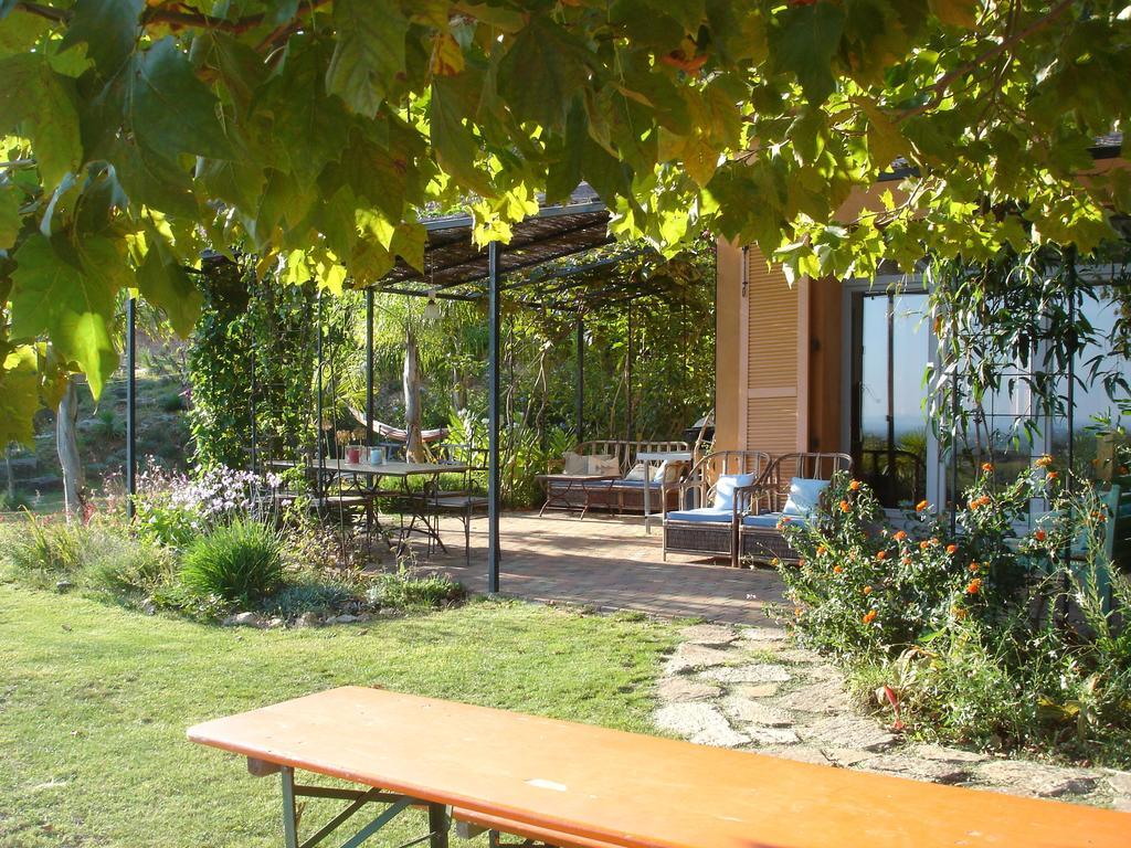 House With Garden And Sea View Villa La Londe-les-Maures Værelse billede