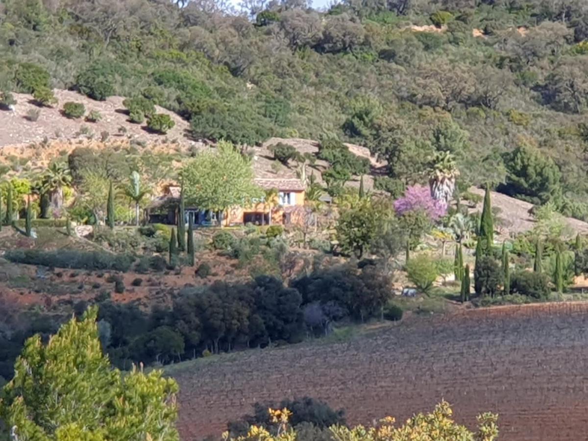 House With Garden And Sea View Villa La Londe-les-Maures Eksteriør billede